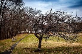 Minuteman Commuter Bikeway